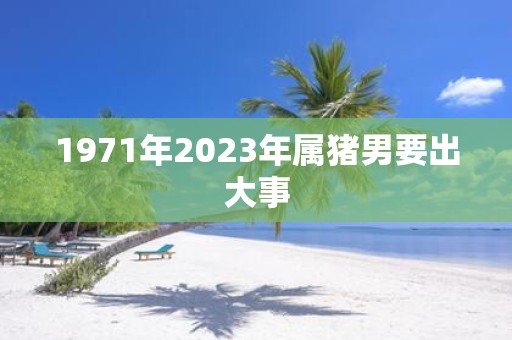 详细阅读:1971年2023年属猪男要出大事 1971年2023年属猪男要出大事